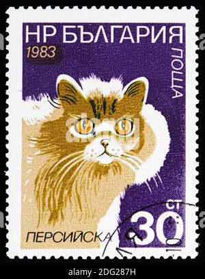 MOSKAU, RUSSLAND - 21. OKTOBER 2018: Eine in Bulgarien gedruckte Briefmarke zeigt Persisch (Felis silvestris catus), Cats Serie, um 1983 Stockfoto