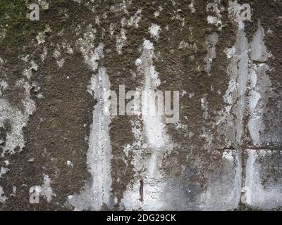 Verwitterte graue Betonwand mit Moos nützlich als Hintergrund Stockfoto