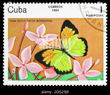 MOSKAU, RUSSLAND - 21. OKTOBER 2018: Eine in Kuba gedruckte Briefmarke zeigt weißen Schmetterling (Ixias balice balice), Serie Schmetterlinge, um 1984 Stockfoto