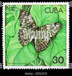 MOSKAU, RUSSLAND - 21. OKTOBER 2018: Eine in Kuba gedruckte Briefmarke zeigt Caribbean Cracker (Hamadryas ferox diasia), Butterflies Serie, um 1982 Stockfoto