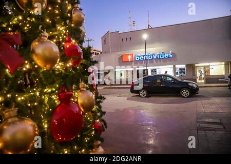 Kinder und Erwachsene fotografieren den neuen Weihnachtsbaum im Zentrum von Hermosillo, Mexiko. Diciembre 2020. © (Foto von Luis Gutierrez/Norte Photo) Niños y adultos se toman Fotos el nuevo arbol de la Navidad en el Centro de Hermosillo, Mexiko Stockfoto