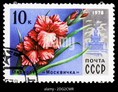 MOSKAU, RUSSLAND - 10. NOVEMBER 2018: Eine in UdSSR (Russland) gedruckte Marke zeigt Gladiolus 'Moscovite', Moscow Flowers Serie, um 1978 Stockfoto