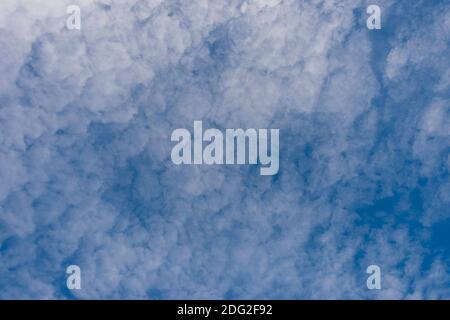 Verstreute Wolkenhaufen in einem blauen Himmel Stockfoto