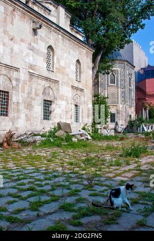 Die Moschee Mahmutpaşa befindet sich im Stadtteil Mahmutpaşa von Istanbul; sie wurde als Komplex (1464) erbaut. Nur Moscheen und Gräber sind heute von diesem Komplex erhalten. Stockfoto