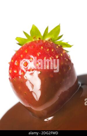 Frische Erdbeerfrucht in Schokolade auf Weiß. Eine Schokolade getauchte reife Erdbeere mit grünen Blättern isoliert auf weißem Hintergrund. Nahaufnahme. Stockfoto