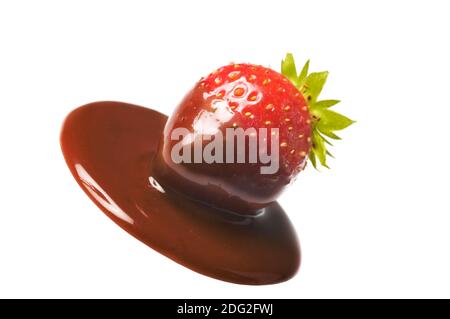 Frische Erdbeerfrucht in Schokolade auf Weiß. Eine Schokolade getauchte reife Erdbeere mit grünen Blättern isoliert auf weißem Hintergrund. Nahaufnahme. Stockfoto