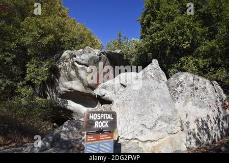 Hospital Rock ist ein großes Quarzitgestein im Sequoia National Park, Kalifornien, USA. Ein Schild hat den Namen des Felsens und ein Hinweis Abschnitt. Stockfoto