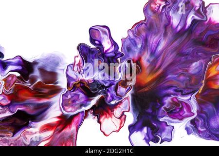 Flüssige Kunst abstrakte Blume auf dem weißen Hintergrund isoliert. Florales Design Stockfoto