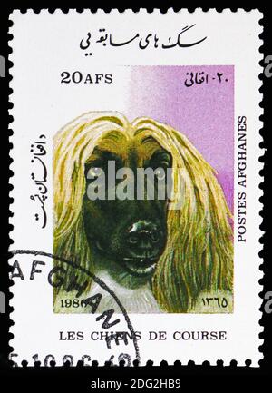 MOSKAU, RUSSLAND - 10. NOVEMBER 2018: Eine in Afghanistan gedruckte Briefmarke zeigt afghanischen Hund (Canis lupus familiaris), Stammbaum Hunde Serie, um 1986 Stockfoto