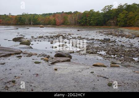 Die Flut ist aus, enthüllt die schlammigen, felsigen Boden der Morgan Bay im Herbst, Herbstfarbe an einem grauen, bewölkten Tag. In Surry, Maine. Stockfoto