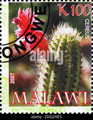 MOSKAU, RUSSLAND - 21. OKTOBER 2018: Eine in Malawi gedruckte Briefmarke zeigt Cereus, Cactuses Serie, um 2007 Stockfoto