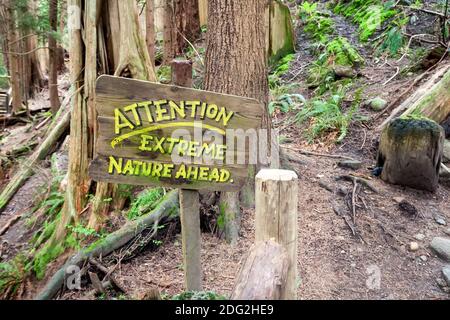 Ein humorvolles Schild auf einem Wanderweg durch den alten Wald im Capilano Suspension Bridge Park, North Vancouver, British Columbia, Kanada Stockfoto