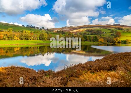 Blick auf Herbst Farben bei Ladybower Reservoir, Derbyshire, Peak District National Park, England, Vereinigtes Königreich, Europa Stockfoto