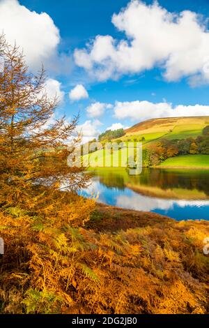 Blick auf Herbst Farben bei Ladybower Reservoir, Derbyshire, Peak District National Park, England, Vereinigtes Königreich, Europa Stockfoto