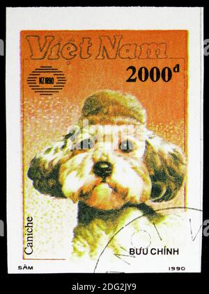 MOSKAU, RUSSLAND - 10. NOVEMBER 2018: Eine in Vietnam gedruckte Briefmarke zeigt Pudel (Canis lupus familiaris), Internationale Briefmarkenausstellung Neuseeland '90 ( Stockfoto