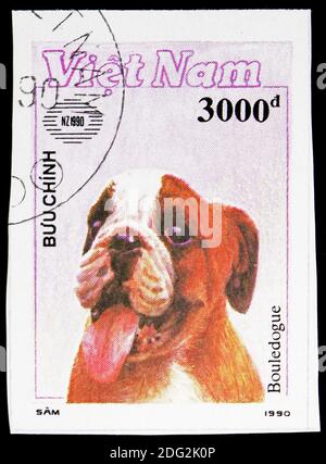 MOSKAU, RUSSLAND - 10. NOVEMBER 2018: Eine in Vietnam gedruckte Briefmarke zeigt englische Bulldogge (Canis lupus familiaris), Internationale Briefmarkenausstellung New ZEAL Stockfoto
