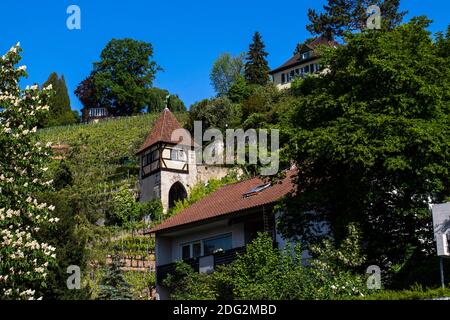 Esslingen am Neckar, Neckarhaldentorturm Stockfoto