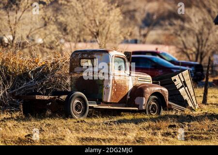 Antike Ford Pick-up-Truck in Ranch Feld; Salida; Colorado; USA Stockfoto