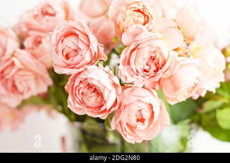 Bouquet von Pfingstrosen rosa Rosen von juliet. Korallenblüten, floraler Hintergrund Stockfoto