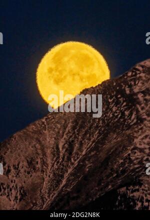 Vollbebermond; Frostmond, trauernder Mond; untergeht über Mt. Shavano (Höhe 14,229'),; in der Nähe von Salida; Colorado; USA Stockfoto