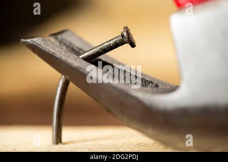 Einen gebogenen Nagel mit einem Hammer aus einem Holzbrett ziehen, Zimmerei, Werkstatt Stockfoto