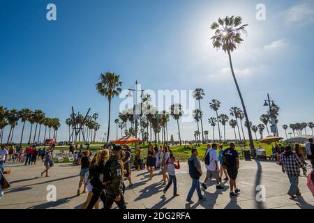Blick auf Palmen und Besucher am Ocean Front Walk in Venice Beach, Los Angeles, Kalifornien, Vereinigte Staaten von Amerika, Nordamerika Stockfoto