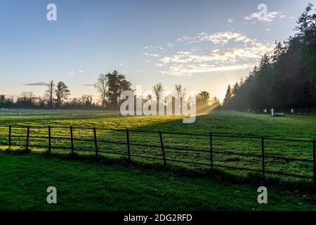 Abenddämmerung im Farmleigh Estate in Dublin, Irland an einem hellen, kalten, nebligen Dezemberabend. Stockfoto