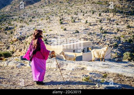 Jebel Akhdar, Oman, 2. Dezember 2016: In einem kleinen Dorf am Berg Jebel Akhdar im Oman wacht eine einheimische Frau über ihre Ziegen Stockfoto