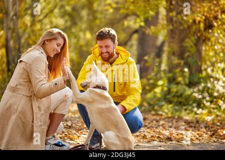 Paar spielen mit ihrem Haustier Hund im Wald, Seitenansicht. Freundliche nette Hund geben High Five blonde Frau Stockfoto
