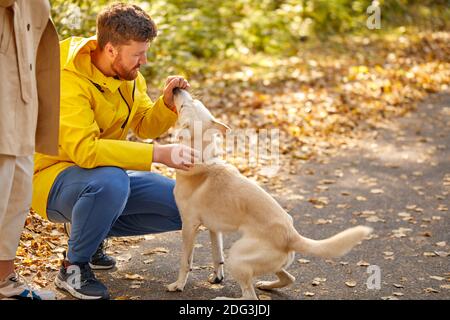 Seitenansicht auf Mann spielt mit seinem Hund im Wald, Herbst sonnigen Tag. Menschen und Tiere Konzept. Auf dem Land Stockfoto