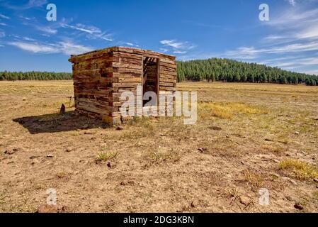 Ein altes baufälliges Brunnenhaus in der Nähe von Barney Tank südlich von Williams Arizona. Das Hotel liegt auf öffentlichem Grund im Kaibab National Forest. Keine Eigentumsfreigabe ne Stockfoto