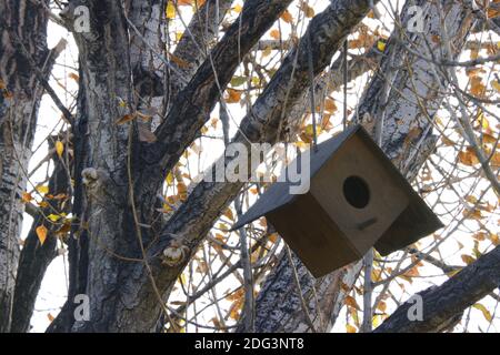 Vogel untergebracht an einem Baum gehängt Stockfoto
