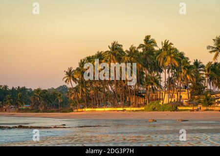Palmen am Strand bei Sonnenuntergang, Chaung Tha Beach, Pathein, Myanmar Stockfoto