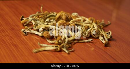 Getrocknete Psilocybin Pilze auf Holztisch Stockfoto