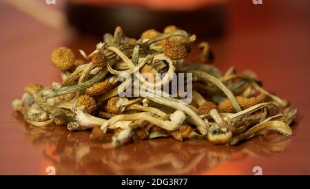 Getrocknete Psilocybin Pilze auf Holztisch Stockfoto