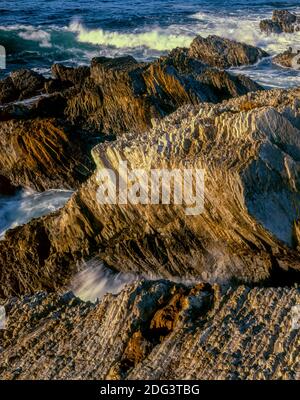 Monterey Schiefer, Montana de Oro State Park, San Luis Obispo County, Kalifornien Stockfoto