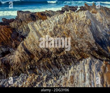 Monterey Schiefer, Montana de Oro State Park, San Luis Obispo County, Kalifornien Stockfoto