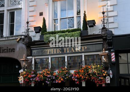 The Harp, ein preisgekröntes Fuller's Pub in Chandos Place, London, England, Großbritannien Stockfoto