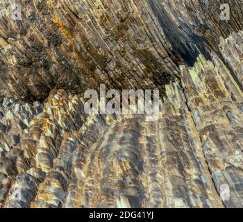 Monterey Schiefer, Montana de Oro State Park, San Luis Obispo County, Kalifornien Stockfoto