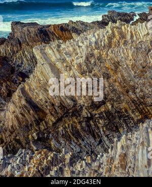 Monterey Schiefer, Montana de Oro State Park, San Luis Obispo County, Kalifornien Stockfoto