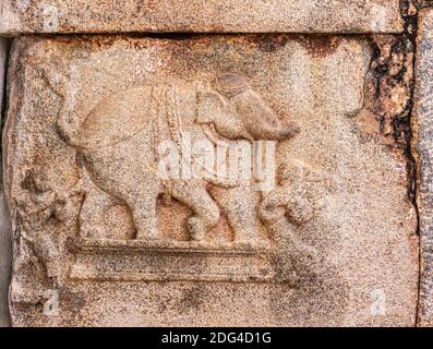 Hampi, Karnataka, Indien - 4. November 2013: Virupaksha Temple Complex. Nahaufnahme der roten Stein Wandbild Skulptur des Elefanten. Stockfoto