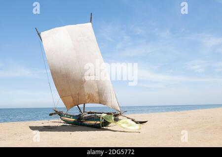 Katamaran befindet sich am Strand an der Küste von Sri Lanka. Stockfoto