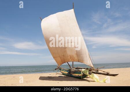 Katamaran befindet sich am Strand an der Küste von Sri Lanka. Stockfoto