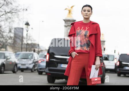 Street Style, Fashionista Ankunft An Der Chanel Herbst-Winter 2017-2018 Show Im Grand Palais, In Paris, Frankreich, Am 7. März 2017. Foto von Silviu Doroftei/ABACAPRESS.COM Stockfoto