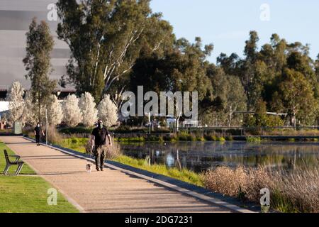 Shepparton, Australien, 15. September 2020. Ein Mann läuft seinen Hund entlang des Goulburn River während der COVID-19 in Melbourne, Australien. Premier Daniel Andrews gab gestern bekannt, dass die Region Victoria zu Schritt 3 der Roadmap übergehen wird. Für Shepparton, im Zentrum von Victoria, sieht dies zu wenig, zu spät aus.Quelle: Dave Hewison/Alamy Live News Stockfoto