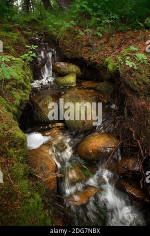 Waldbach fließt über moosbedeckten Steinen. Lange Belichtung, Bewegungsunschärfe Stockfoto