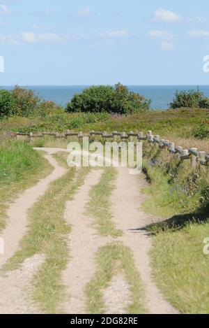 Trampeln Sie den Pfad Stockfoto