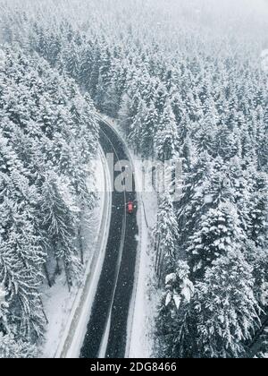 Luftaufnahme des schneebedeckten Pinienwaldes. Ein rotes Auto zwischen den Bäumen auf Asphaltstraße. Naturreisekonzept. Stockfoto