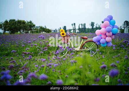 Nehmen Sie das Fahrrad und Luftballons im Meer Stockfoto