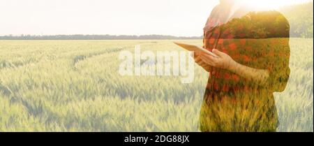 Frau Bauer mit Tablet. Doppelte Belichtung mit Weizen Feld. Smart Farming und digitale Landwirtschaft Konzept. Stockfoto